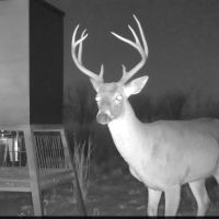 Back on the Market 81.56 Acres Jones County West images 5