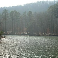 6,000 Acres Lake Guntersville State Park Duck Hunting in Marshall, AL images 5
