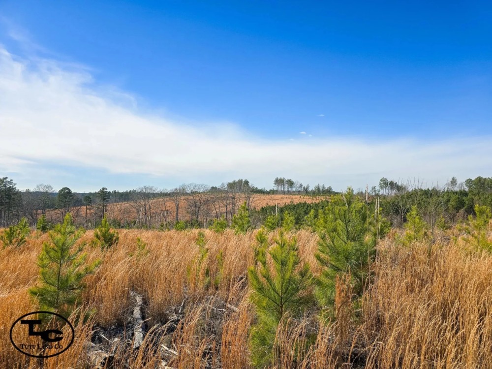 18 - acres - Chester Co - PT-05 featured image