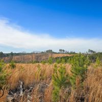 18 - acres - Chester Co - PT-05
