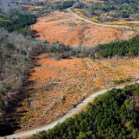 18 - acres - Chester Co - PT-05 images 3