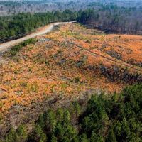 18 - acres - Chester Co - PT-05 images 4