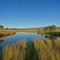 Jackson Creek Ranch