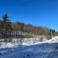 38 acre Wooded Hunting Land Pitcairn NY images 2