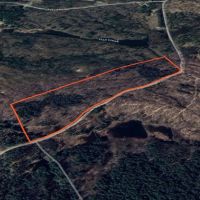 38 acre Wooded Hunting Land Pitcairn NY images 4