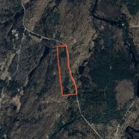 38 acre Wooded Hunting Land Pitcairn NY images 5