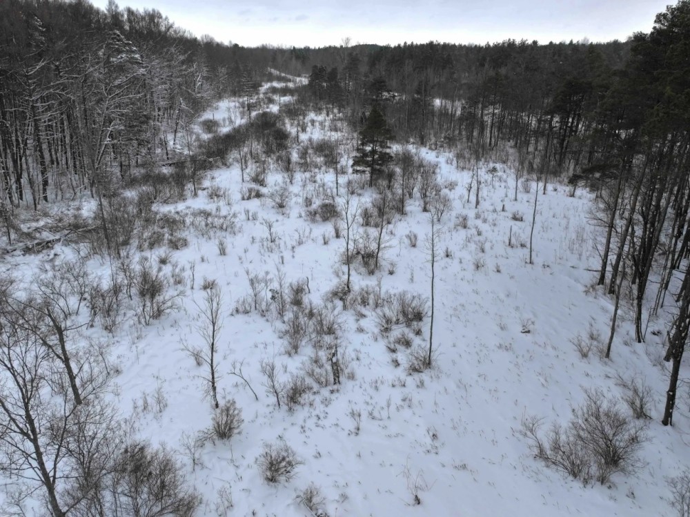 14 acres Hunting Land and Recreational Land with Creek in Darien Center NY Friedman Rd featured image