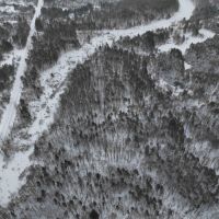 14 acres Hunting Land and Recreational Land with Creek in Darien Center NY Friedman Rd images 4