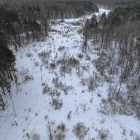 14 acres Hunting Land and Recreational Land with Creek in Darien Center NY Friedman Rd images 5