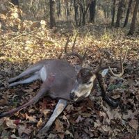 Slash Creek 118 images 3