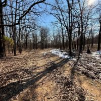 Slash Creek 118 images 5