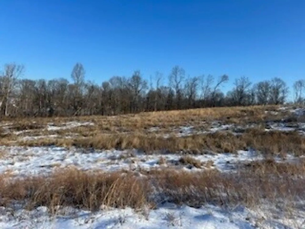 Land For Sale in Dubois County IN 31 Acres - featured image