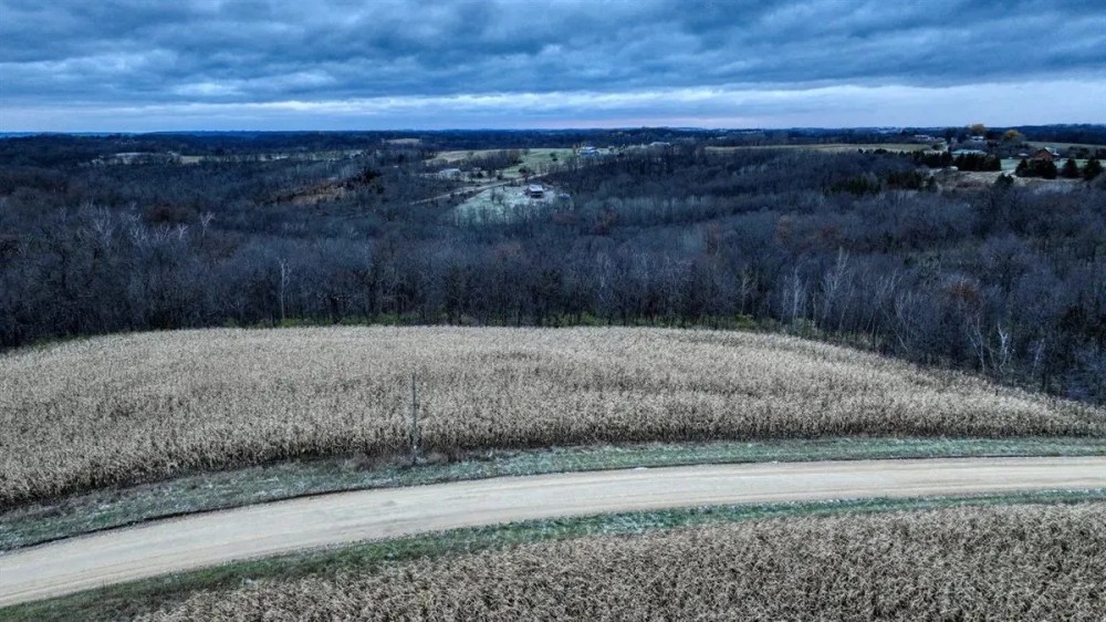 Rare Driftless Area Retreat 28 - Acres in Crawford County WI featured image