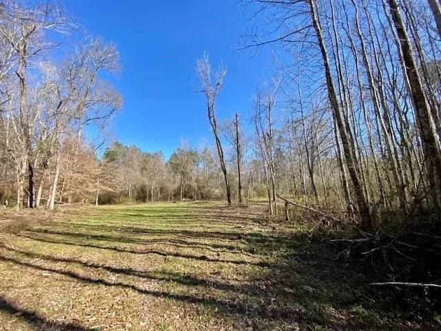 Home 110 Acres- Amite Co. MS featured image