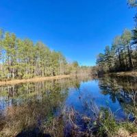 Home 110 Acres- Amite Co. MS images 2