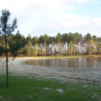 45,000 Acres  Lakepoint State Park for Duck Hunting in Barbour, AL