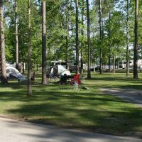 45,000 Acres  Lakepoint State Park for Duck Hunting in Barbour, AL images 5