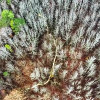 One Equity Share on 940 Acres at Long Creek Plantation in Tallahatchie and Grenada County in Grenada MS