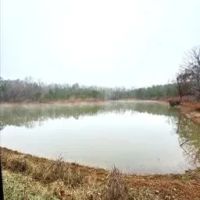 One Equity Share on 940 Acres at Long Creek Plantation in Tallahatchie and Grenada County in Grenada MS images 3