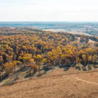 Cook Riverside Farm Tract 1 images 2