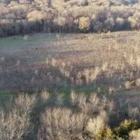 60 Acres of Hunting Haven in Durant Oklahoma images 3
