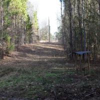 Warren West images 2