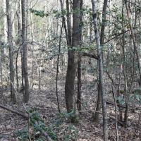 Warren West images 4