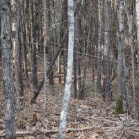 Warren West images 5