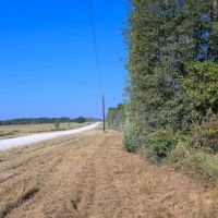 63.19 - Acres Round Prairie Road images 2