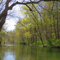 Buck’s Pocket State Park 2000 Acres of Squirrel hunting in DeKalb, AL images 3