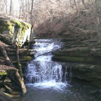 Buck’s Pocket State Park 2000 Acres of Squirrel hunting in DeKalb, AL images 2