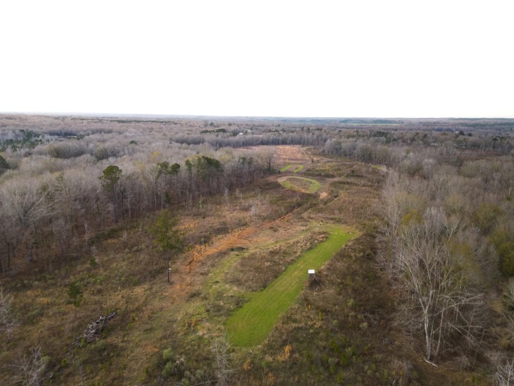 130 Acres with a Cabin in Claiborne County MS featured image