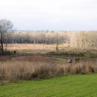 130 Acres with a Cabin in Claiborne County MS images 5
