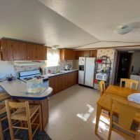 Grine 160 images 5