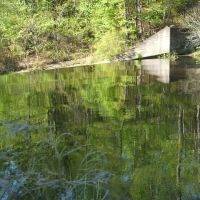 Lake Lurleen State Park 2140 Acres of Duck Hunting in Tuscaloosa, AL images 2