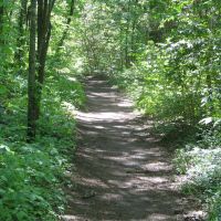 Lake Lurleen State Park 2140 Acres of Duck Hunting in Tuscaloosa, AL images 3