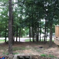 Lake Lurleen State Park 2140 Acres of Duck Hunting in Tuscaloosa, AL