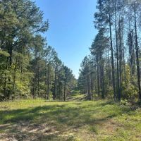 100 Acres in Copiah County MS images 1