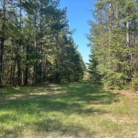100 Acres in Copiah County MS images 3