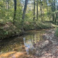 100 Acres in Copiah County MS images 5