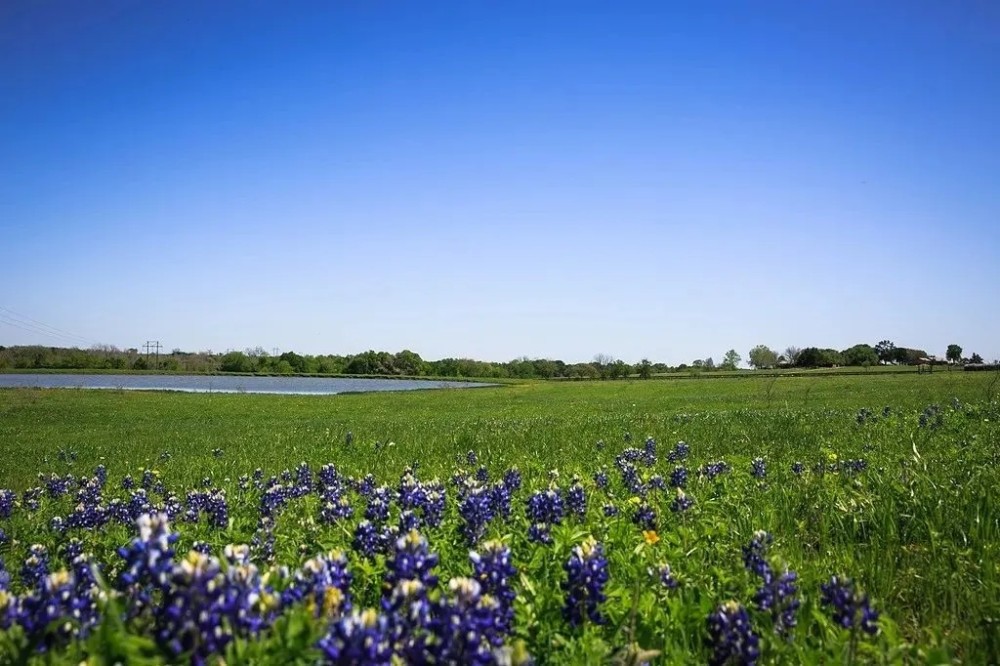 Tr 2 Chadwick Hogan Rd Chappell Hill TX featured image