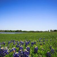 Tr 2 Chadwick Hogan Rd Chappell Hill TX