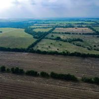 167 Acres for sale in Waco Texas on Reynolds Creek images 3