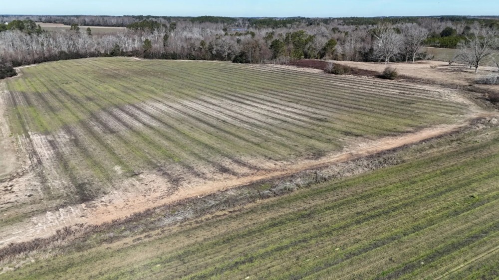 60 Acres in Irwin County GA featured image