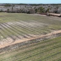 60 Acres in Irwin County GA