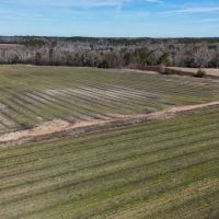 60 Acres in Irwin County GA images 2