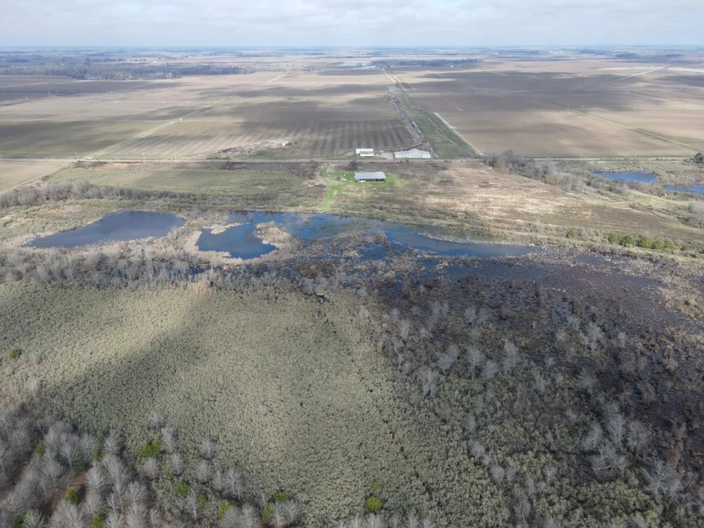 297.5 Acres in Humphreys County MS featured image