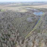 297.5 Acres in Humphreys County MS images 3