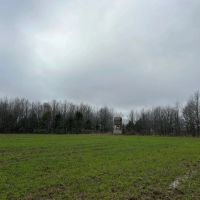 297.5 Acres in Humphreys County MS images 4