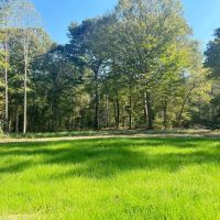 60 Acres in Copiah County MS